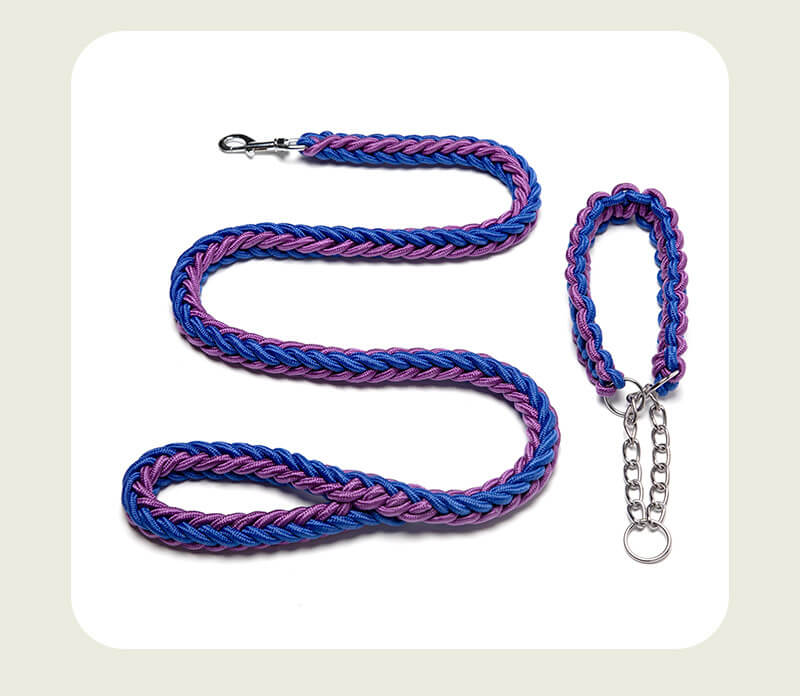 Running Training for Pet Pets HOTS-PL001-30