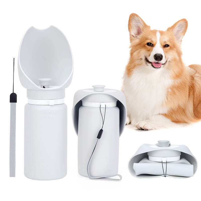 Foldable pet water cup HOTS-PWF001-188