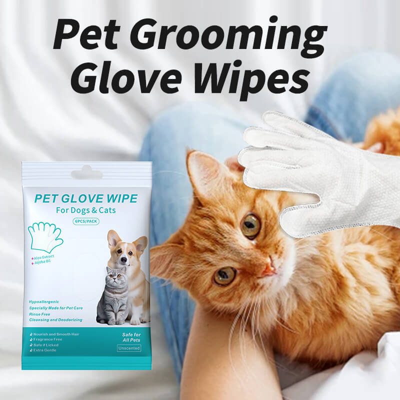 Pet Wet Wipes gloves HOTS-PG003-217