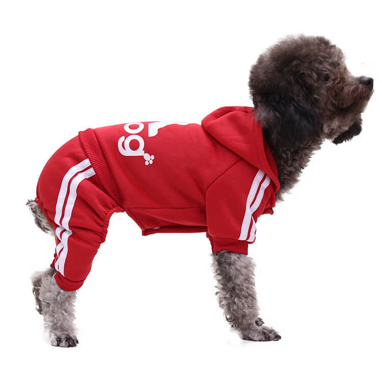 Autumn and Winter Cat and Dog HOTS-PLC002-257