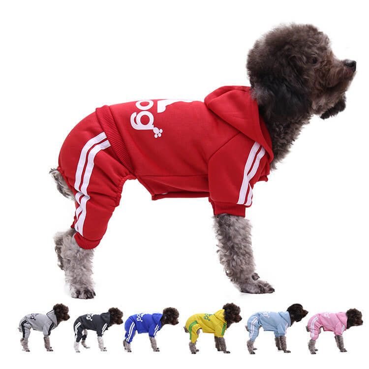 Autumn and Winter Cat and Dog HOTS-PLC002-259