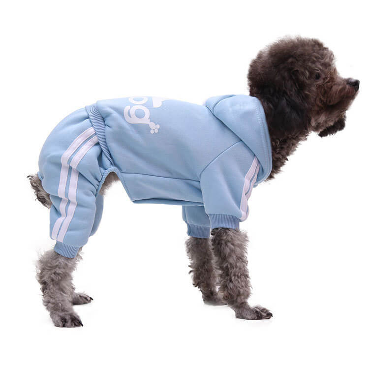 Autumn and Winter Cat and Dog HOTS-PLC002-262