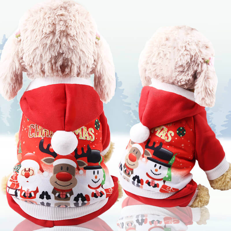 Autumn and Winter Cat and Dog HOTS-PLC001-264