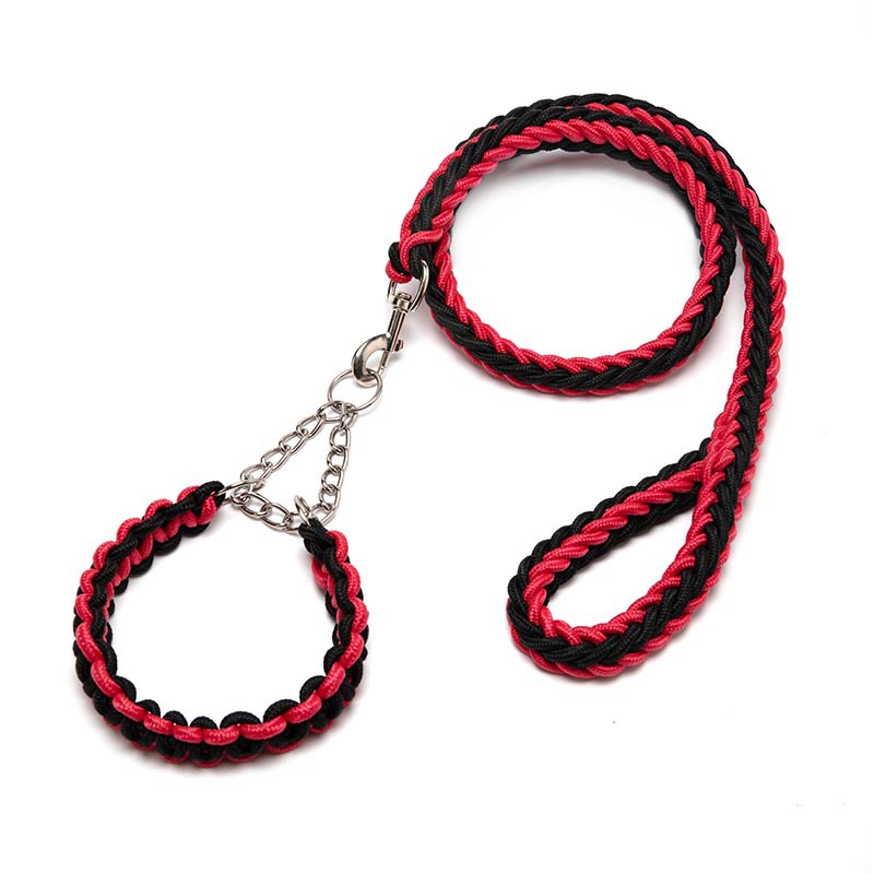 Running Training for Pet Pets HOTS-PL001-284