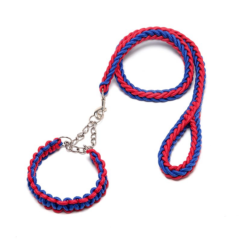 Running Training for Pet Pets HOTS-PL001-285